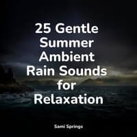 25 Gentle Summer Ambient Rain Sounds for Relaxation