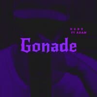 Gonade