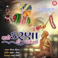 Tari Karuna No Paar Nathi - Single