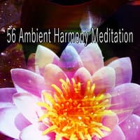 56 Ambient Harmony Meditation