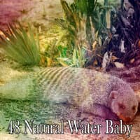 48 Natural Water Baby