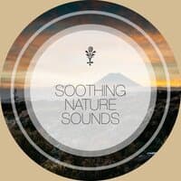 Soothing Nature Sounds