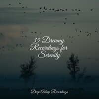 35 Dreamy Recordings for Serenity