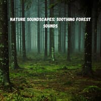 Nature Soundscapes: Soothing Forest Sounds