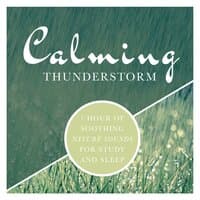 Calming Thunderstorm: 1 Hour of Soothing Nature Sounds for Study and Sleep