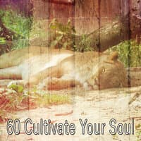 60 Cultivate Your Soul