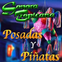 Posadas Y Pinatas