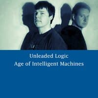 Age of Intelligent Machines