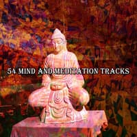 54 Mind And Meditation Tracks