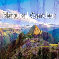 Natural Garden