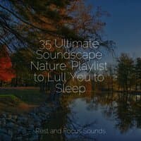 35 Ultimate Soundscape Nature: Playlist to Lull You to Sleep