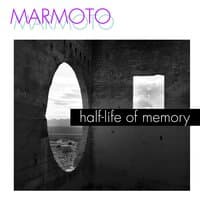 Half-Life of Memory