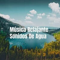 Música relajante sonidos del agua