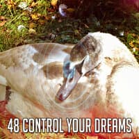 48 Control Your Dreams