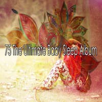 75 The Ultimate Baby Sleep Album