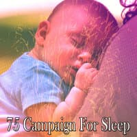 75 Campaign For Sleep