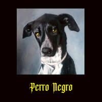 Perro Negro