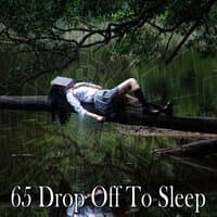 65 Drop Off to Sleep