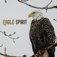 Eagle Spirit