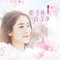 白芍花开（2015羽西品牌广告曲）