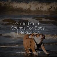 Sounds of Nature For Dogs | Relaxation Sounds