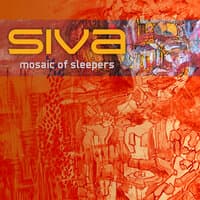 Mosaic of Sleepers