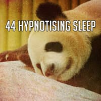 44 Hypnotising Sleep