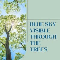 Blue Sky Visible Through the Trees