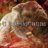 49 Dream Inspirations