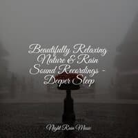 Beautifully Relaxing Nature & Rain Sound Recordings - Deeper Sleep