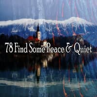 78 Find Some Peace & Quiet