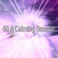 60 A Calming Resolve