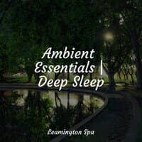 Ambient Essentials | Deep Sleep