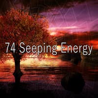 74 Seeping Energy