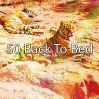 50 Back To Bed