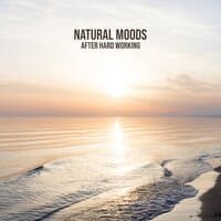 Natural Moods After Hard Working: Meditation with Nature, Sounds Reducing Stress & Anxiety, Healing Frequencies