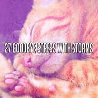 27 Goodbye Stress with Storms