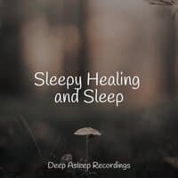 Sleepy Healing and Sleep