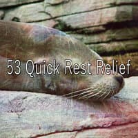 53 Quick Rest Relief