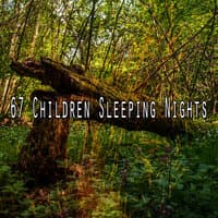 67 Children Sleeping Nights