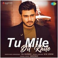 Tu Mile Dil Khile - Single