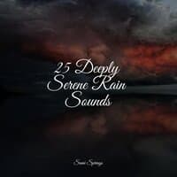 25 Deeply Serene Rain Sounds