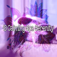 43 Calming Spa Serenity