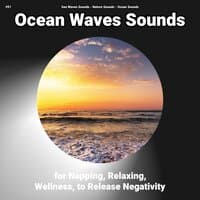 #01 Ocean Waves Sounds for Napping, Relaxing, Wellness, to Release Negativity