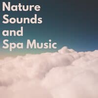 Nature Sounds and Spa Music