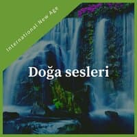 Doğa sesleri - Sakin yeni çağ müziği