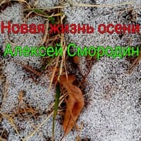 Новая жизнь осени