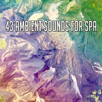 43 Ambient Sounds for Spa