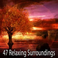 47 Relaxing Surroundings