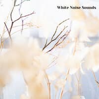 White Noise for Sleeping and Meditation, Session 7